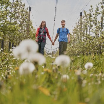 Wandern durch die Apfelgärten in Puch bei Weiz in der Oststeiermark | ©  Oststeiermark Tourismus | Markus Lang-Bichl