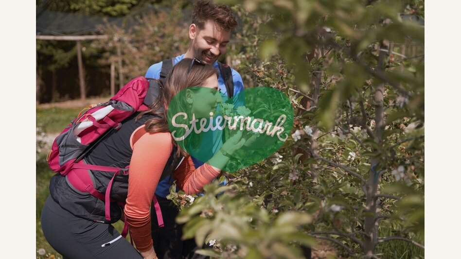 Wandern durch die Apfelgärten in Puch bei Weiz in der Oststeiermark | ©  Oststeiermark Tourismus | Markus Lang-Bichl
