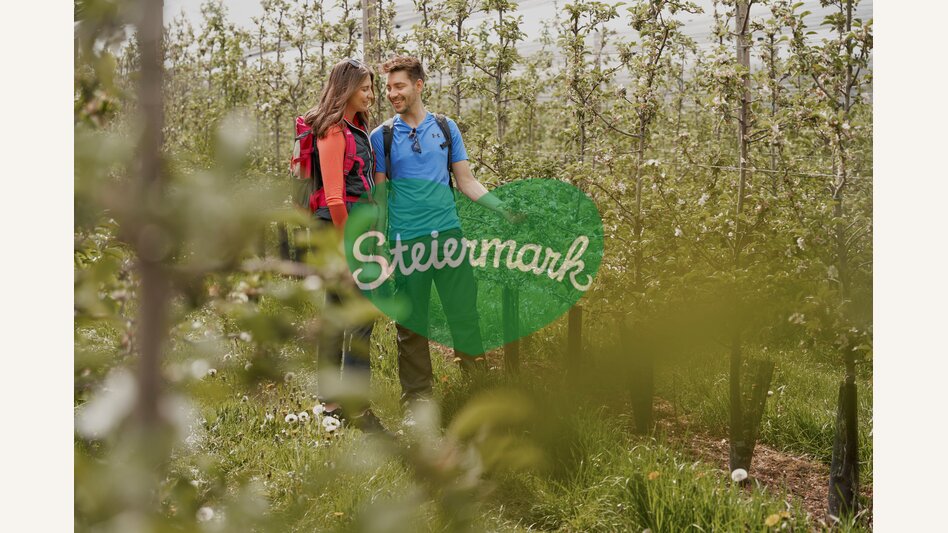 Wandern durch die Apfelgärten in Puch bei Weiz in der Oststeiermark | ©  Oststeiermark Tourismus | Markus Lang-Bichl
