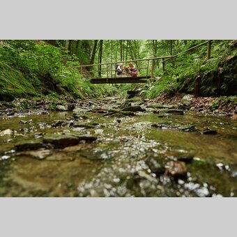 Wandern in Friedberg in der Kräuterregion Wechselland | ©  Oststeiermark Tourismus | Markus Lang-Bichl