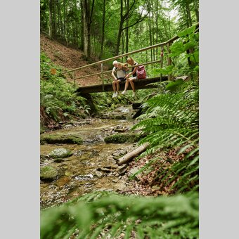 Wandern in Friedberg in der Kräuterregion Wechselland | ©  Oststeiermark Tourismus | Markus Lang-Bichl