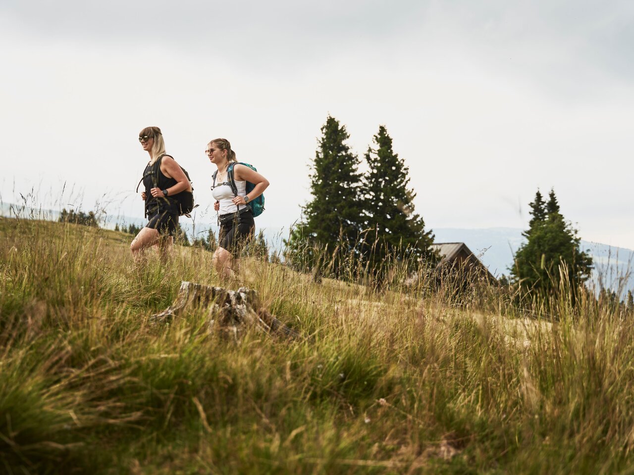 Hiking on the Hochwechsel in Eastern Styria | ©  Oststeiermark Tourismus | Markus Lang-Bichl