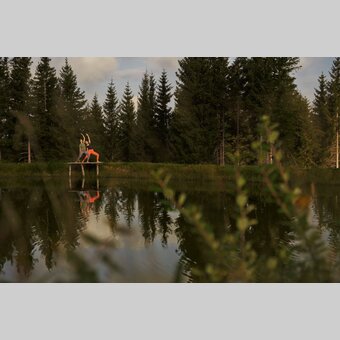 Yoga am Teich auf der Glatzl Trahütten Alm in St. Lorenzen in der Oststeiermar | ©  Oststeiermark Tourismus | Markus Lang-Bichl