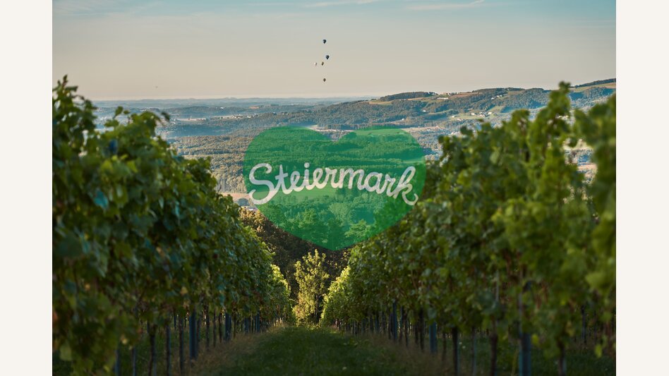 Landschaft der Weingärten in Hartberg in der Oststeiermark | ©  Oststeiermark Tourismus | Lang-Bichl - RKP