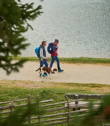 Wandern mit Hund im Almenland  | ©  Oststeiermark Tourismus | Markus Lang-Bichl
