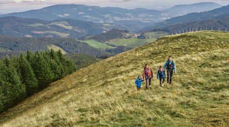 Hiking with the family in the Almenland | ©  Oststeiermark Tourismus | Markus Lang-Bichl
