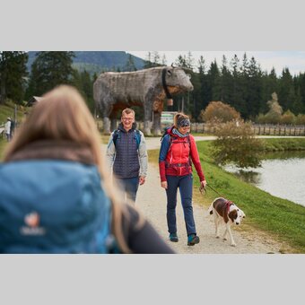 Wandern mit Hund auf der Teichalm im Almenland  | ©  Oststeiermark Tourismus | Markus Lang-Bichl