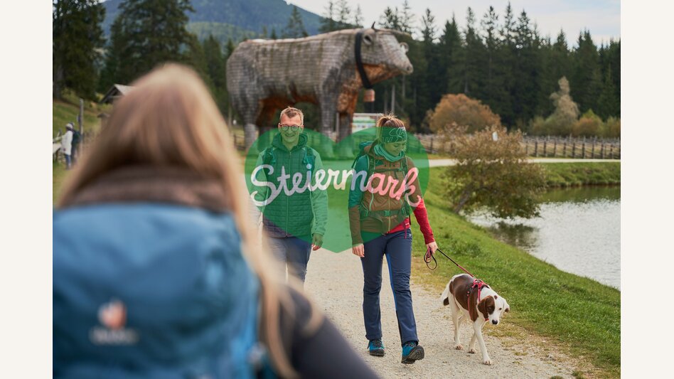 Wandern mit Hund auf der Teichalm im Almenland  | ©  Oststeiermark Tourismus | Markus Lang-Bichl