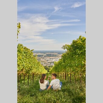 Paar sitzt in der Wiese in einem Weingarten und trinkt Wein in Hartberg in der Oststeiermark | ©  Oststeiermark Tourismus | Markus Lang-Bichl