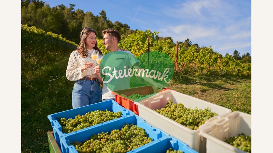Paar verkostet Sturm in einem Weingarten in Hartberg in der Oststeiermark | ©  Oststeiermark Tourismus | Markus Lang-Bichl