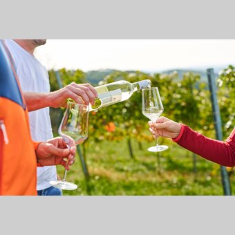 Personen verkosten Wein in einem Weingarten in Hartberg in der Oststeiermark | ©  Oststeiermark Tourismus | Markus Lang-Bichl