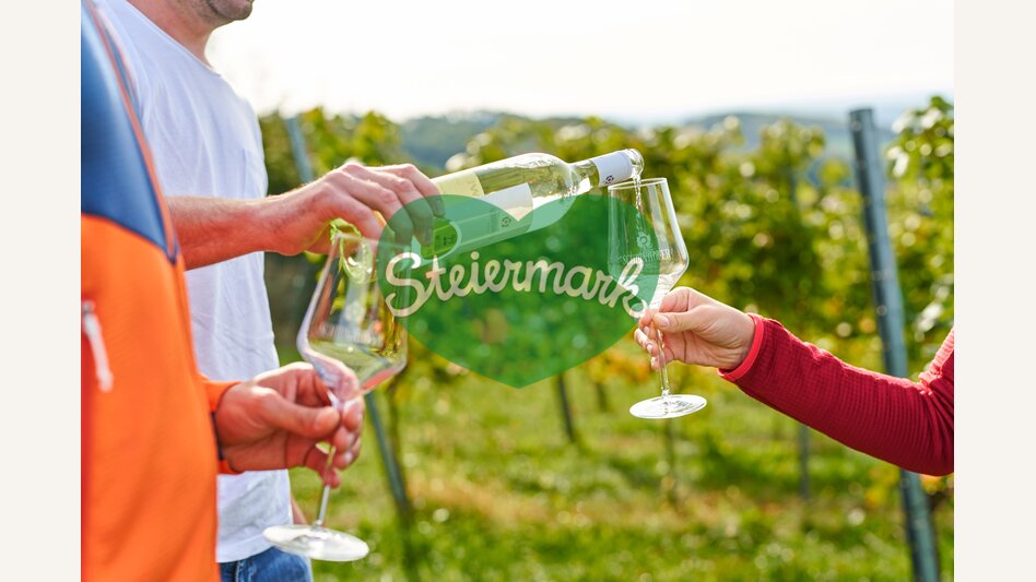 Personen verkosten Wein in einem Weingarten in Hartberg in der Oststeiermark | ©  Oststeiermark Tourismus | Markus Lang-Bichl