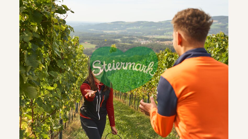Weinlesen in einem Weingarten in Hartberg mit Ausblick auf das Hartbergerland | ©  Oststeiermark Tourismus | Markus Lang-Bichl