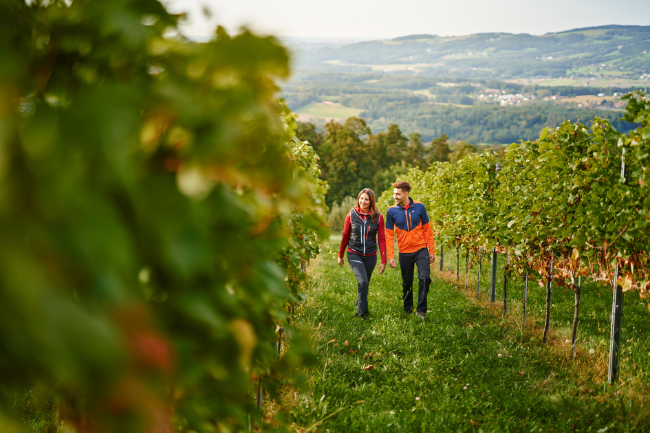 Stroll through the vineyards in Hartberg in Eastern Styria | ©  Oststeiermark Tourismus | Lang-Bichl - RKP