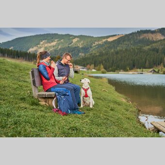 Wandern mit Hund im Almenland  | ©  Oststeiermark Tourismus | Markus Lang-Bichl