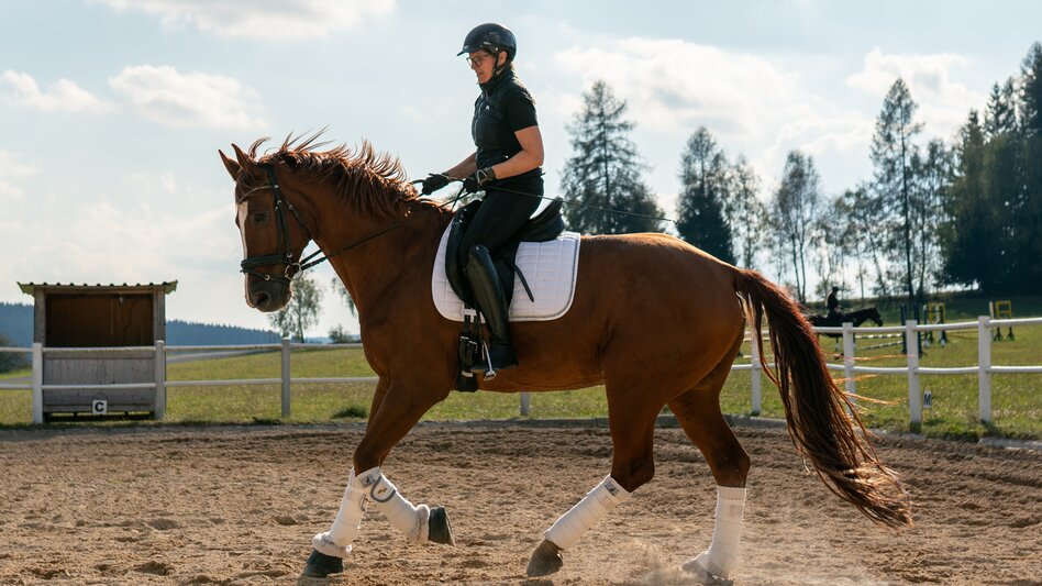 Riding in Joglland- Waldheimat in Eastern Styria | ©  Oststeiermark Tourismus | RKP Marketing