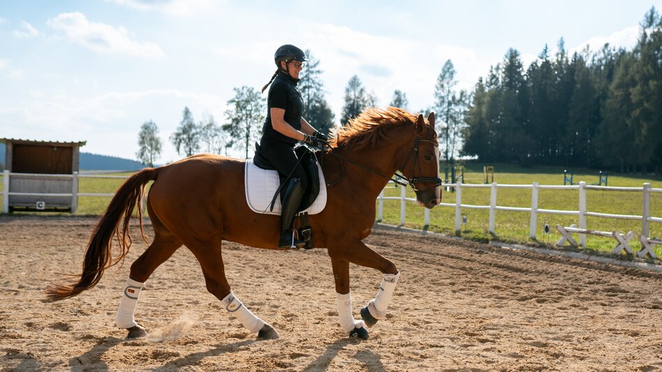 Riding in Joglland- Waldheimat in Eastern Styria | ©  Oststeiermark Tourismus | RKP Marketing