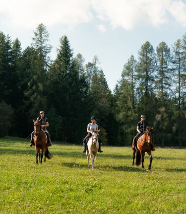 Riding in Joglland- Waldheimat in Eastern Styria | ©  Oststeiermark Tourismus | RKP Marketing