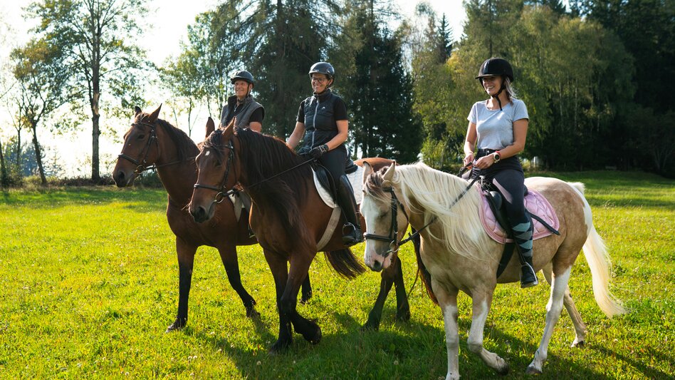 Riding in Joglland- Waldheimat in Eastern Styria | ©  Oststeiermark Tourismus | RKP Marketing