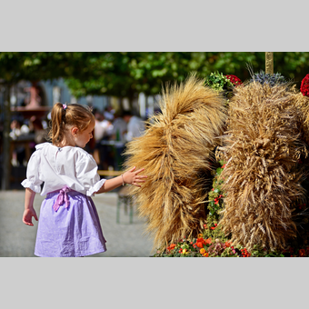 Erntekrone beim Erntedankfest in Hartberg | © Oststeiermark Tourismus | Christian Strassegger