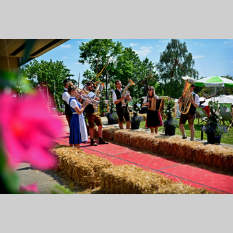 Musikanten beim Gartenfest in Gleisdorf | © Oststeiermark Tourismus | Christian Strassegger