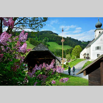 Frühlingsstimmung bei der Kirche in Gasen | © Oststeiermark Tourismus | Christian Strassegger