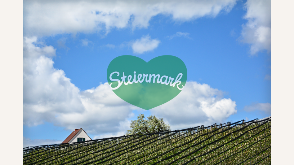 Apfelgärten in der Oststeiermark | © Oststeiermark Tourismus | Christian Strassegger