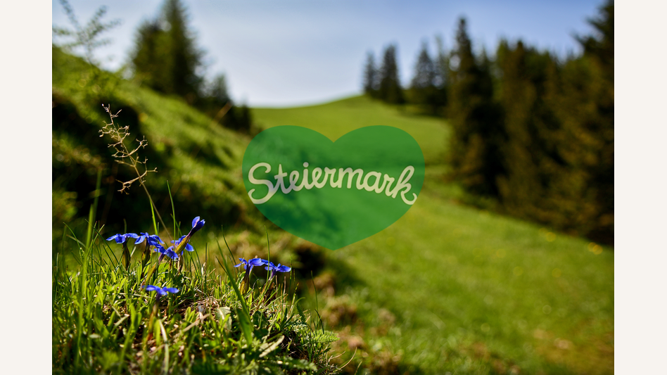 Almenland Landschaft in der Oststeiermark | © Oststeiermark Tourismus | Christian Strassegger