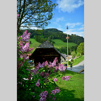 Holzhaus in Frühlingsstimmung in Gasen | © Oststeiermark Tourismus | Christian Strassegger