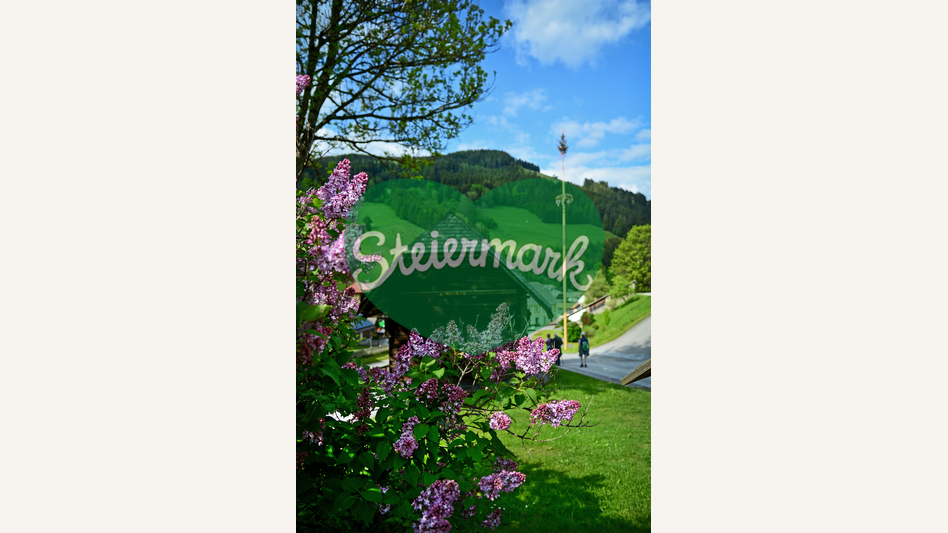 Holzhaus in Frühlingsstimmung in Gasen | © Oststeiermark Tourismus | Christian Strassegger