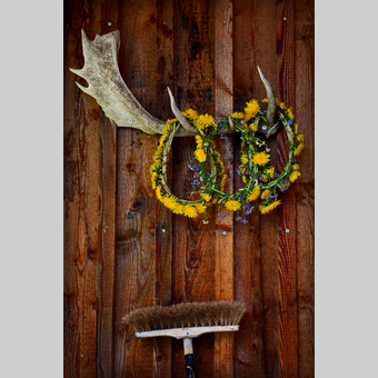 Geweih mit Löwenzahnkränzen | © Oststeiermark Tourismus | Christian Strassegger