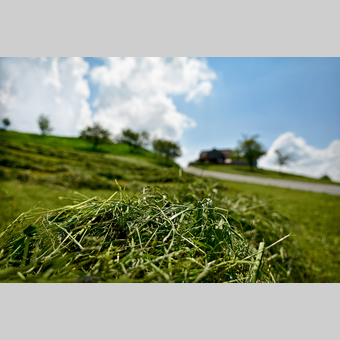 Landschaft in der Oststeiermark | © Oststeiermark Tourismus | Christian Strassegger