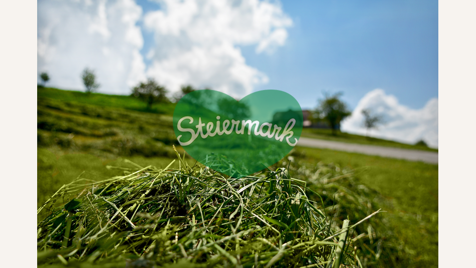 Landschaft in der Oststeiermark | © Oststeiermark Tourismus | Christian Strassegger