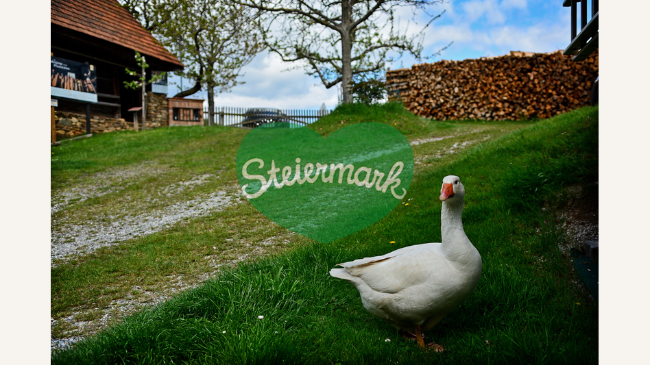 traumhafte Lage bei den Ferienhäuser Familie De Buigne in Pöllauberg | © Oststeiermark Tourismus | Christian Strassegger