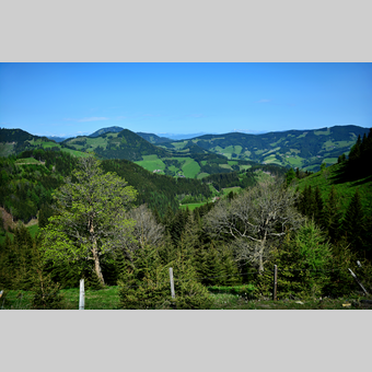 Gebirgslandschaft im Almenland in der Oststeiermark | © Oststeiermark Tourismus | Christian Strassegger