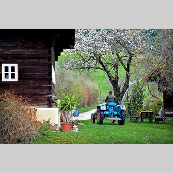 Traktor beim Ferienhaus DeBuigne im Pöllauer Tal | © Oststeiermark Tourismus | Christian Strassegger