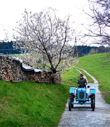 Tractor at the DeBuigne vacation home in the Pöllau Valley | © Oststeiermark Tourismus | Christian Strassegger