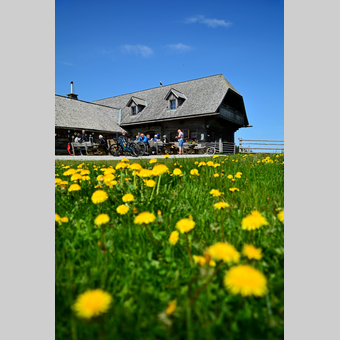 Stoakoglhütte auf der Sommeralm in der Oststeiermark | © Oststeiermark Tourismus | Christian Strassegger