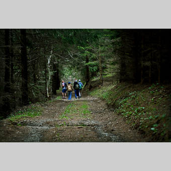 Wandern im Almenland in der Oststeiermark | © Oststeiermark Tourismus | Christian Strassegger