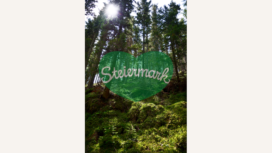 Waldgebiet in der Oststeiermark | © Oststeiermark Tourismus | Christian Strassegger