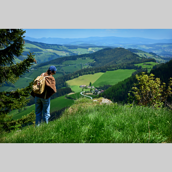 Wandern im Almenland in der Oststeiermark | © Oststeiermark Tourismus | Christian Strassegger