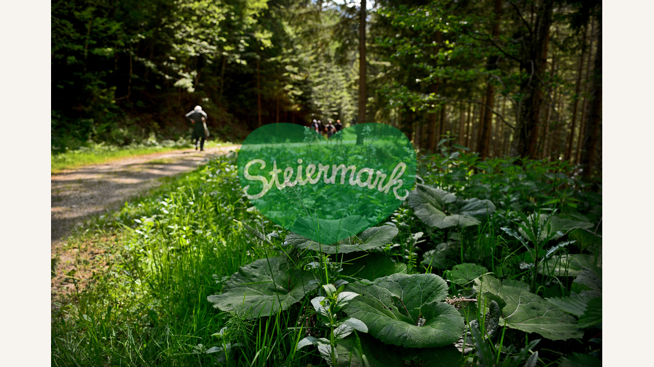 Waldweg im Almenland | © Oststeiermark Tourismus | Christian Strassegger