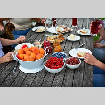 Früchte vom Kleinhofers Himbeernest im Apfelland | © Oststeiermark Tourismus | Christian Strassegger
