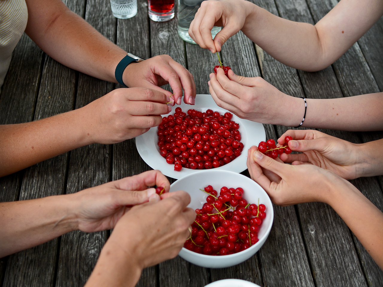 Früchte vom Kleinhofers Himbeernest im Apfelland | © Oststeiermark Tourismus | Christian Strassegger