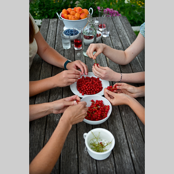 Früchte vom Kleinhofers Himbeernest im Apfelland | © Oststeiermark Tourismus | Christian Strassegger