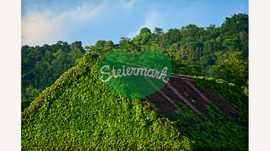 Efeubewachsenes Haus in der Oststeiermark | © Oststeiermark Tourismus | Christian Strassegger
