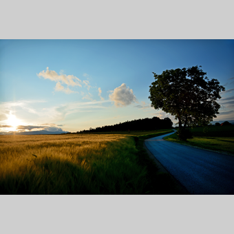 Landschaft in der Oststeiermark | © Oststeiermark Tourismus | Christian Strassegger