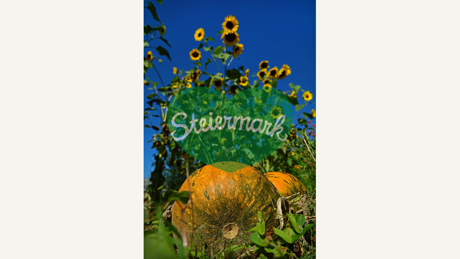 Kürbis und Sonnenblumen in der Oststeiermark | © Oststeiermark Tourismus | Christian Strassegger