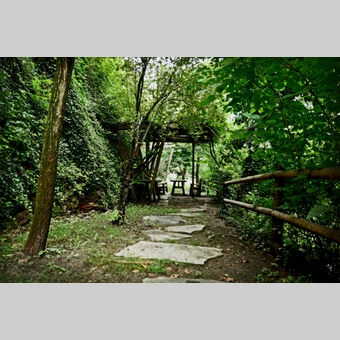 Sitzplatz im Wald in der Oststeiermark | © Oststeiermark Tourismus | Christian Strassegger