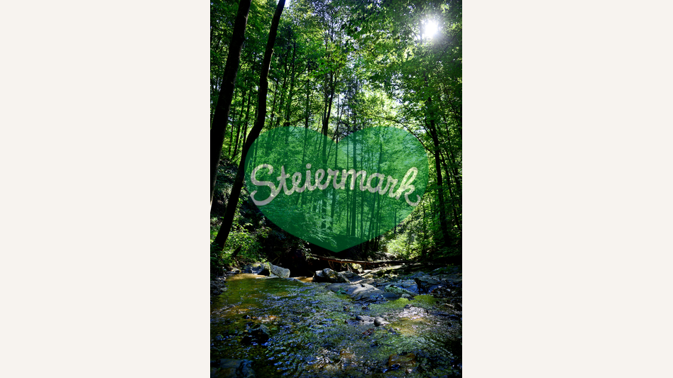 Waldlandschaft mit Bacherl in der Oststeiermark | © Oststeiermark Tourismus | Christian Strassegger